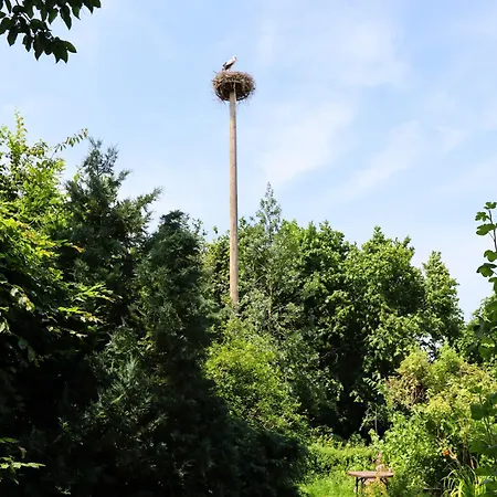 Parkblick Mit 3 Schlafzimmern, Cleaning Included Appartement