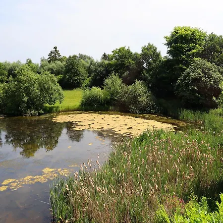 Parkblick Mit 3 Schlafzimmern, Cleaning Included Buschenhagen